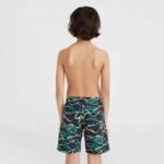 ONeill Jack Cali Crazy 14 Swim Shorts Jr 92800613561 - Image 4