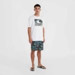 ONeill Jack Cali Crazy 16 Swim Shorts M 92800613566 - Image 8