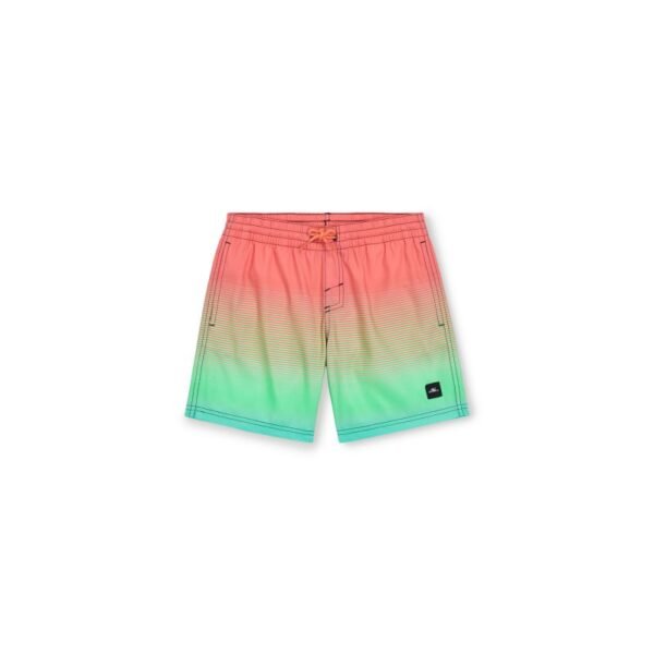 ONeill Jack Cali Gradient 14 Swim Shorts Jr 92800613570