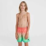 ONeill Jack Cali Gradient 14 Swim Shorts Jr 92800613570 - Image 3