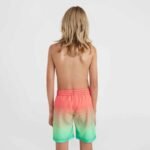 ONeill Jack Cali Gradient 14 Swim Shorts Jr 92800613570 - Image 4