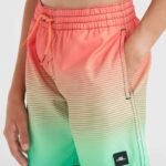 ONeill Jack Cali Gradient 14 Swim Shorts Jr 92800613570 - Image 5