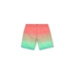 ONeill Jack Cali Gradient 14 Swim Shorts Jr 92800613570 - Image 6