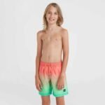 ONeill Jack Cali Gradient 14 Swim Shorts Jr 92800613570 - Image 7
