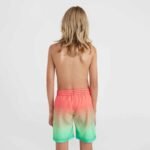 ONeill Jack Cali Gradient 14 Swim Shorts Jr 92800613570 - Image 8
