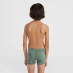 ONeill Mix Match Cali First 13 Swim Shortscrazy 8 R Jr 92800613832 - Image 4