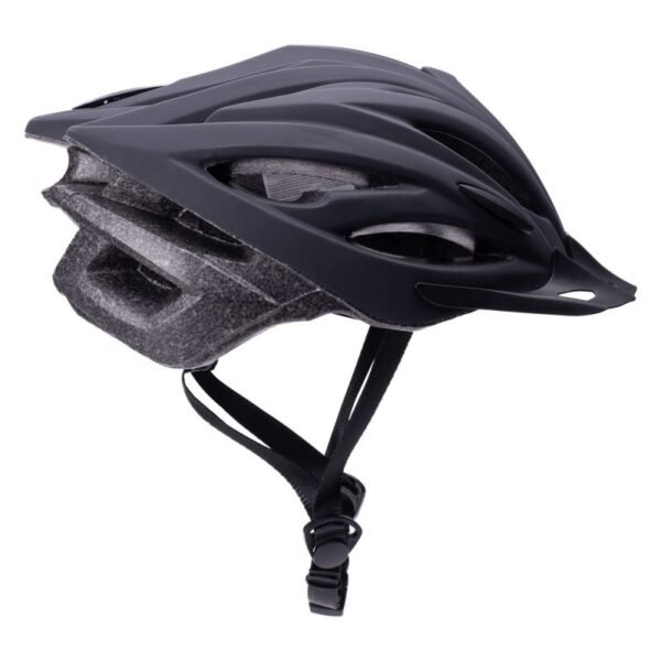 OLEG helmet