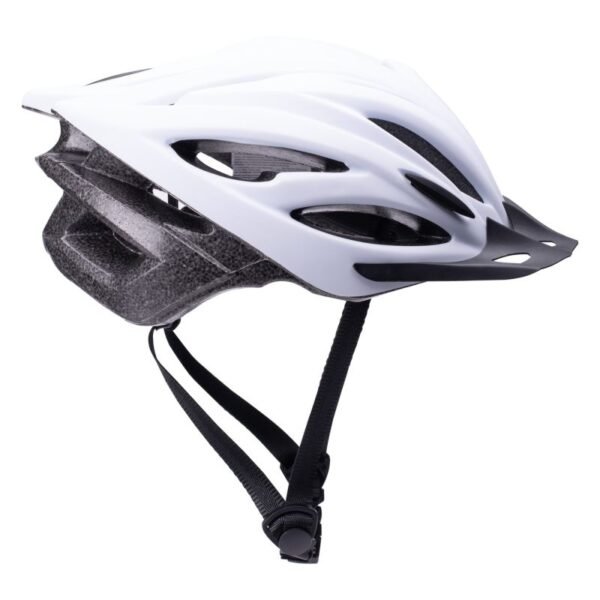 OLEG helmet
