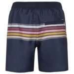 Protest PRTKALFORD beach shorts (P2710821/906) - Image 3