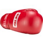 RTT-COMPETITION Leather Boxing Gloves 10oz (WORLD BOXING APPROVED) - Image 5