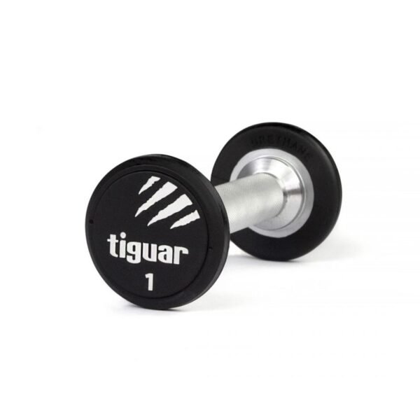 Tiguar PU dumbbell 1 kg TI-WHPU0010