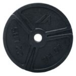 Weight Plate 10KG - Image 2