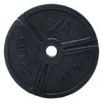 Weight Plate 10KG - Image 3