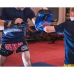 Yakima Sport Pao 100351 Trainer Shield - Image 4