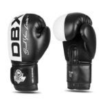10oz Boxing Gloves - Harmony - Valor Series - Image 4