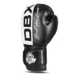 10oz Boxing Gloves - Harmony - Valor Series - Image 5