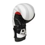 10oz Boxing Gloves - Japan - Valor Series - Image 5