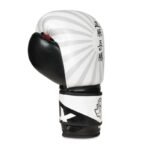10oz Boxing Gloves - Japan - Valor Series - Image 7