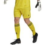 adidas Condivo 22 M HF0141 Goalkeeper Shorts - Image 3