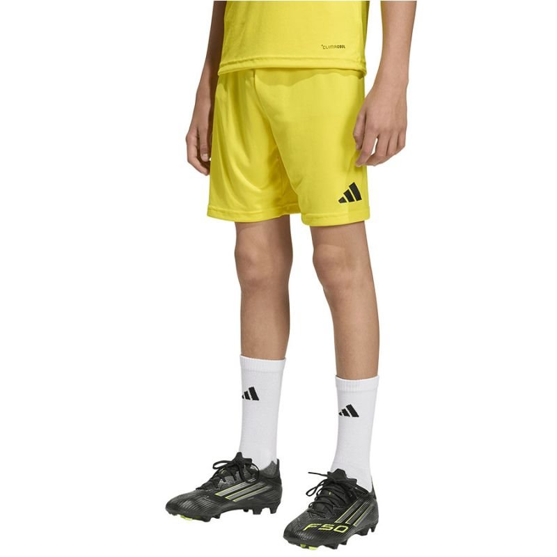 lupin-wear-ca-adidas-entrada-26-short-junior-jz6525-1946496 adidas ENTRADA 26 Short Junior JZ6525 - Image 1