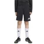 adidas Entrada 26 Training kids shorts black JZ9131
