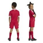 Adidas Liverpool FC Home JV6442 kit - Image 2
