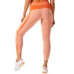 Asics W Cropped Logo Seamless Tight W pants 2032B789-800 - Image 6