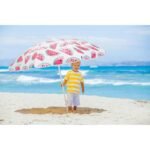 BEACH/BALCONY UMBRELLA 160CM WATERMELON 1048789 - Image 3