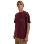 Billabong Stacked Arch Tee EBYZT00175-RSN0 Burgundy L - Image 4