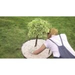BORDER FLEX BLACK LAWN Edging - Image 7