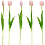 BOUQUET OF 5 LIGHT PINK TULIPS 39 CM LIKE LIFE SPRING DECORATION - Image 4