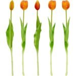 BOUQUET OF 5 ORANGE TULIPS 39 CM LIFE-LIKE SPRING DECORATION - Image 4
