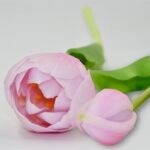 BOUQUET OF 5 PINK PEONY TULIPS 39 CM LIFE-LIKE SPRING DECORATION - Image 6