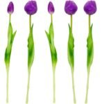 BOUQUET OF 5 PURPLE PEONY TULIPS 39 CM LIFE-LIKE SPRING DECORATION - Image 4