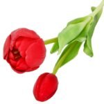 BOUQUET OF 5 RED PEONY TULIPS 39 CM LIFE-LIKE SPRING DECORATION - Image 6