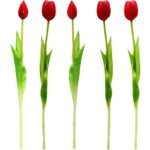 BOUQUET OF 5 RED TULIPS 39 CM LIKE LIFE SPRING DECORATION - Image 4