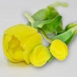 BOUQUET OF 5 YELLOW TULIPS 39 CM LIKE LIFE SPRING DECORATION - Image 6
