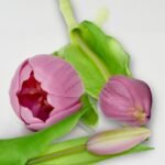 BOUQUET OF 7 LIGHT PURPLE TULIPS 31 CM LIFE-LIKE SPRING DECORATION - Image 6