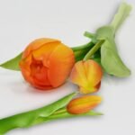 BOUQUET OF 7 ORANGE TULIPS 31 CM LIFE-LIKE SPRING DECORATION - Image 6