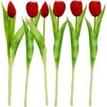 BOUQUET OF 7 RED TULIPS 31 CM LIKE LIFE SPRING DECORATION - Image 4