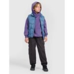 Boys down vest with synthetic filling 4F 4FJRAW25TVJAM325-32S - Image 7