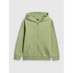 Boys regular hooded sweatshirt 4F 4FJRSS26TSWSM2749-47S - Image 8