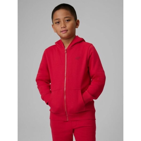 Boys regular hooded sweatshirt 4F 4FJRSS26TSWSM2749-62S