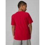 Boys regular printed T-shirt 4F 4FJRSS26TTSHM3599-10S - Image 2