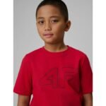 Boys regular printed T-shirt 4F 4FJRSS26TTSHM3599-10S - Image 3