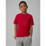 Boys regular printed T-shirt 4F 4FJRSS26TTSHM3599-10S