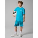 Boys regular printed T-shirt 4F 4FJRSS26TTSHM3832-33S - Image 3