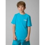Boys regular printed T-shirt 4F 4FJRSS26TTSHM3832-33S