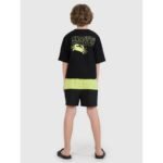 Boys beach shorts 4F 4FJWSS25UBDSM116-45S - Image 2