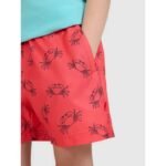 Boys boardshorts 4F 4FJWSS25UBDSM121-63A - Image 4